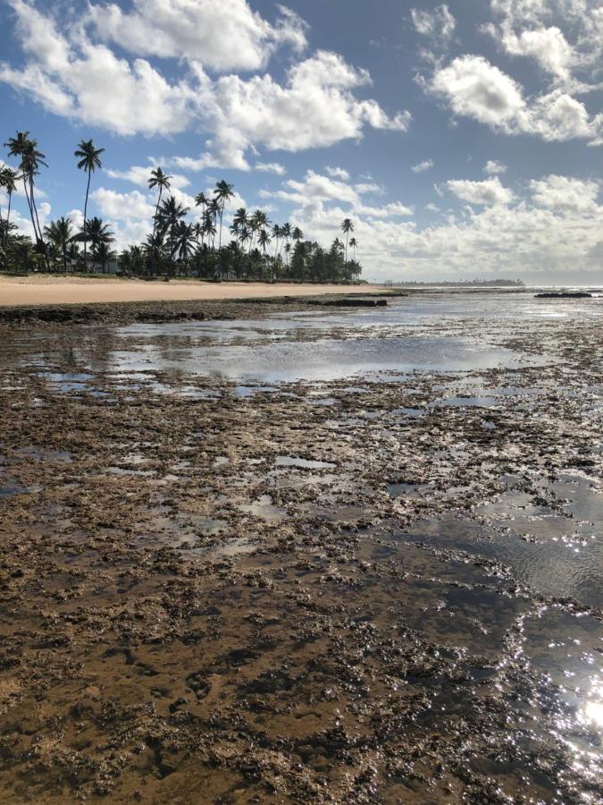 Paraiso Dos Corais Guarajuba Eksteriør bilde