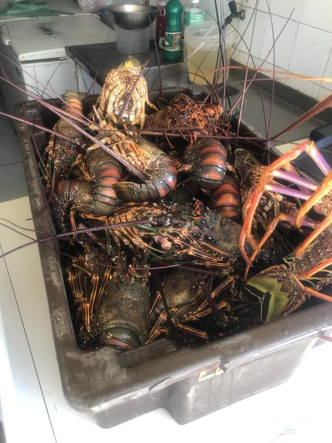 Paraiso Dos Corais Guarajuba Eksteriør bilde